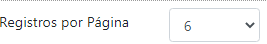 2. Registros por página